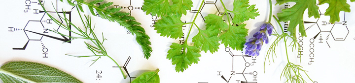 Heilpflanzen und Kräuter in der Medizin